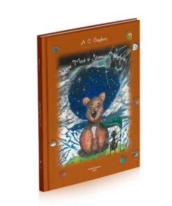 Ursa Mică și Steaua Nordului