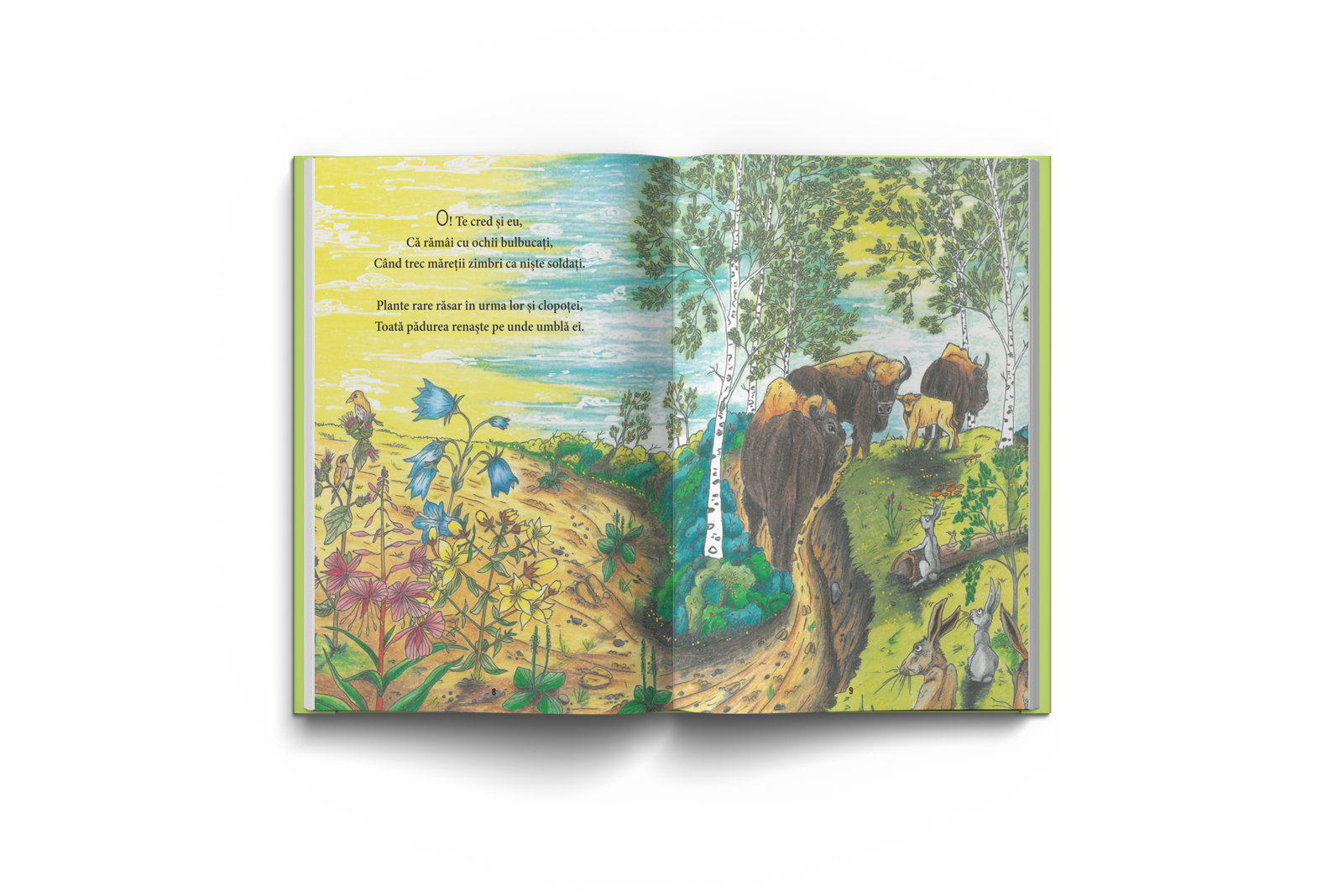 Reîntoarcerea Zimbrilor - imagine 2