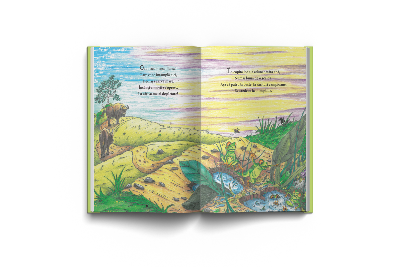 Reîntoarcerea Zimbrilor - imagine 3